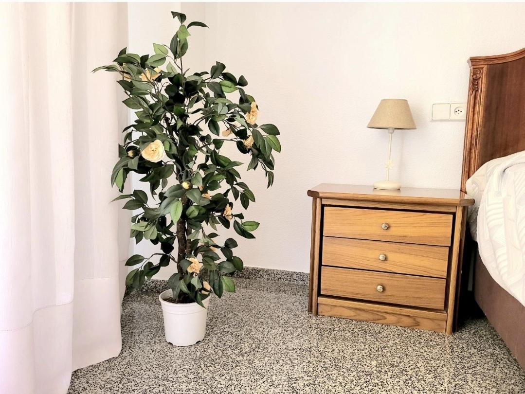 Amistosa, Habitacion Con Balcon, Alicante, Playa, Centro, Rambla, Mercado Apartment Ngoại thất bức ảnh